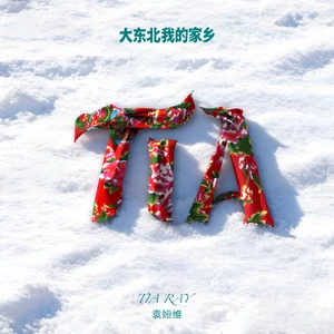 大东北我的家乡