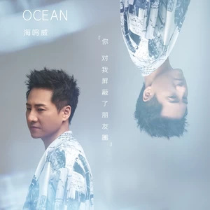 你对我屏蔽了朋友圈(DJ阿福 Remix)