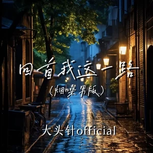 回首我这一路(烟嗓男版)