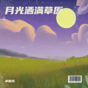 月光洒满草原