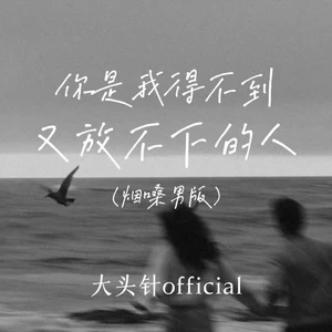 你是我得不到又放不下的人(烟嗓男版)