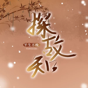 探故知(平生不晚DJlucky小阳版)