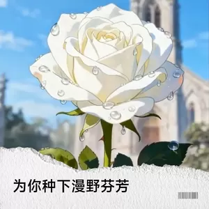 为你种下漫野芬芳