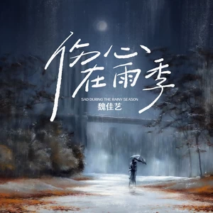 伤心在雨季
