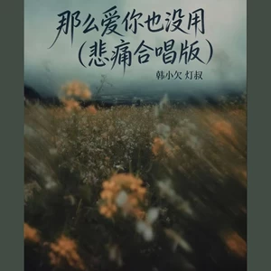 那么爱你也没用(悲痛合唱版)