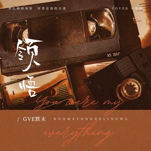 领悟(撕心裂肺版)