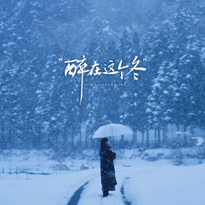 醉在这个冬(DJ豪大大版)