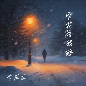 雪花陪我醉