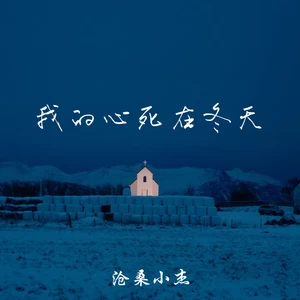 我的心死在冬天