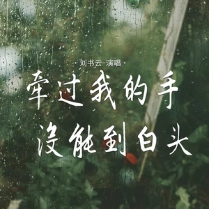 牵过我的手没能到白头