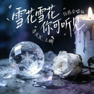 雪花雪花你可听见(伤感合唱版)