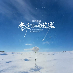 冬天里的白玫瑰(就算大雪飞)