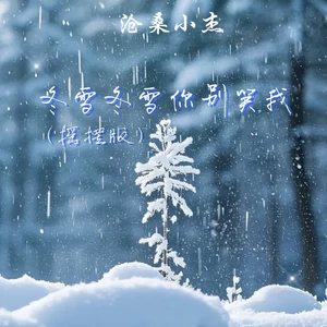 冬雪冬雪你别笑我(摇摆版)