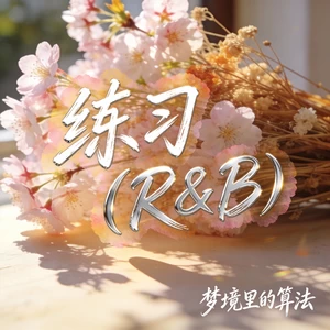 练习 (R&B)