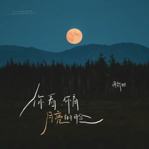 你看你看月亮的脸(DJ阿衍版)