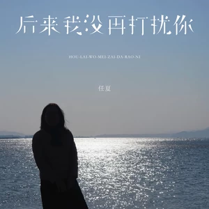 后来我没再打扰你(DJEva版)