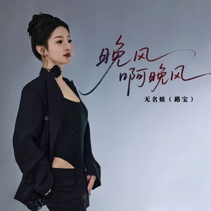 再见晚风（DJ默涵版）