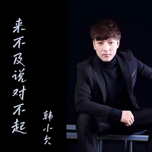 来不及说对不起（DJ阿尼版）