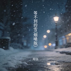 等不到的雪(烟嗓版)