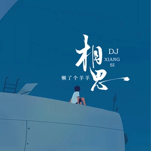 相思（DJ懒羊羊版）
