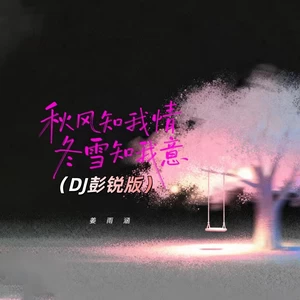 秋风知我情冬雪知我意（DJ彭锐版）