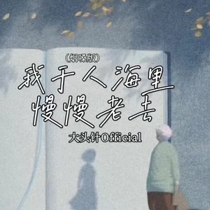 我于人海里慢慢老去(烟嗓版)