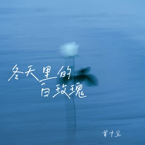 冬天里的白玫瑰