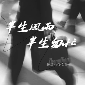 半生风雨半生匆忙