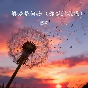 真爱是何物(你爱过我吗)