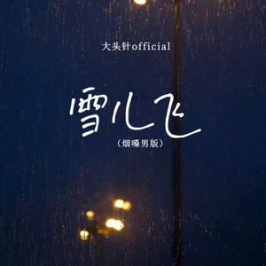 雪儿飞(（烟嗓男版）)
