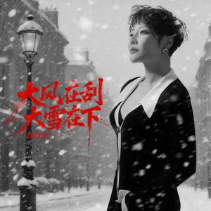 大风在刮大雪在下
