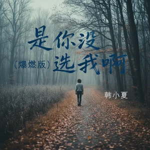 是你没选我啊(爆燃版)