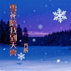 雪花陪我到天亮（爱了你一场落下一身伤）