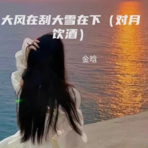 人心难换人心 （对月饮酒）