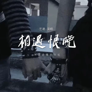 相遇恨晚 (不该动情的年纪)