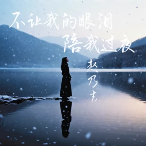 不让我的眼泪陪我过夜(DJ版)