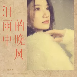 泪雨中的晚风 (唤醒心中的痛)