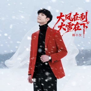 大风在刮大雪在下