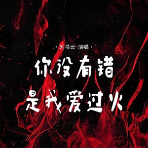 你没有错是我爱过火