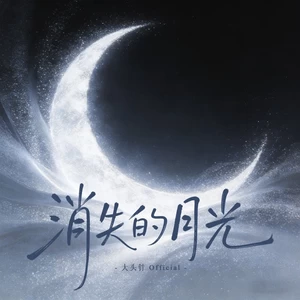 消失的月光（那些年 错过的回忆）