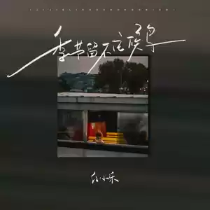 季节留不住候鸟(DJ小桐版)