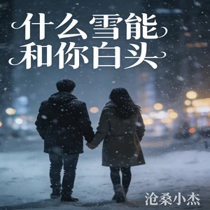 什么雪能和你白头(DJ阿能版)