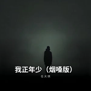 我正年少（烟嗓版）