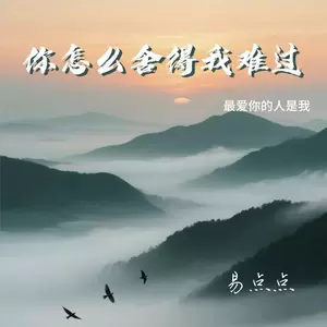 你怎么舍得我难过(最爱你的人是我)