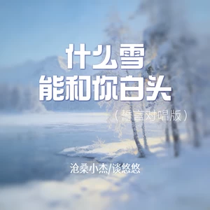 什么雪能和你白头(誓言对唱版)