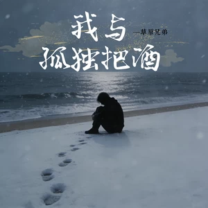 我与孤独把酒(温暖孤独灵魂语录版)