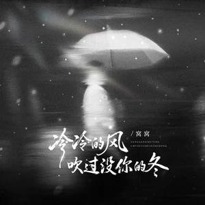 冷冷的风吹过没你的冬