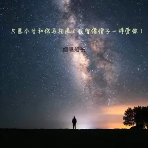 只愿今生和你再相遇 (我曾像傻子一样爱你)