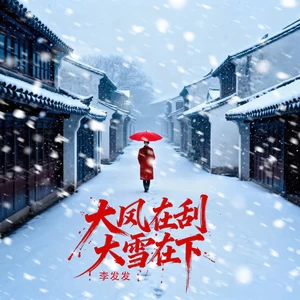 大风在刮大雪在下(DJ九零版)