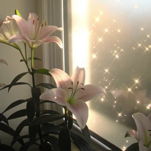 给我一个理由忘记（R&B版）